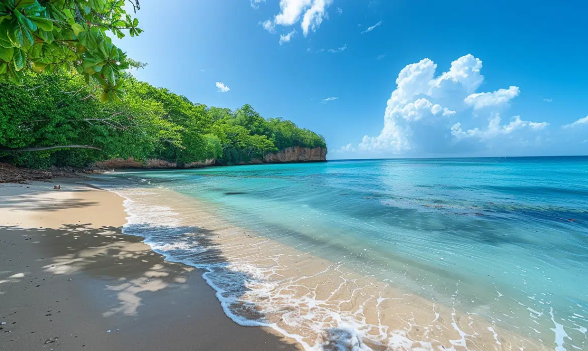 Découverte des plages secrètes de la Martinique grâce aux cartes détaillées