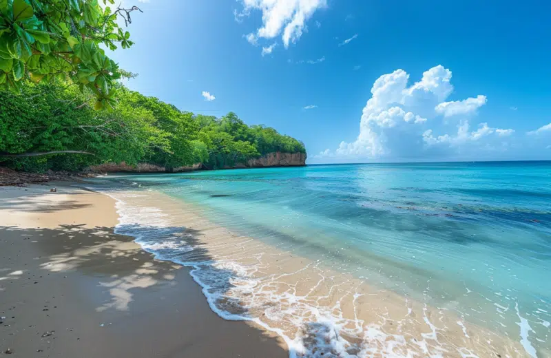 Découverte des plages secrètes de la Martinique grâce aux cartes détaillées