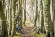 Entre plages et bocages : partir à la rencontre de la Normandie à vélo