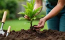 Maîtriser l’ancrage et la taille des palmiers : guide à l’usage des jardiniers amateurs